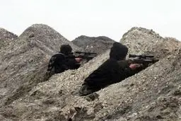 سخنگوی وزارت دفاع آمریکا: ۴۰۰ نظامی آمریکایی به گروه‌‎های مسلح سوری آموزش نظامی می‌دهند