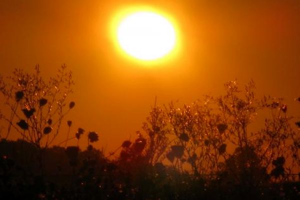 دانشمندان آمریکایی سال گذشته را گرمترین سال کره زمین در چند دهه اخیر اعلام کردند
