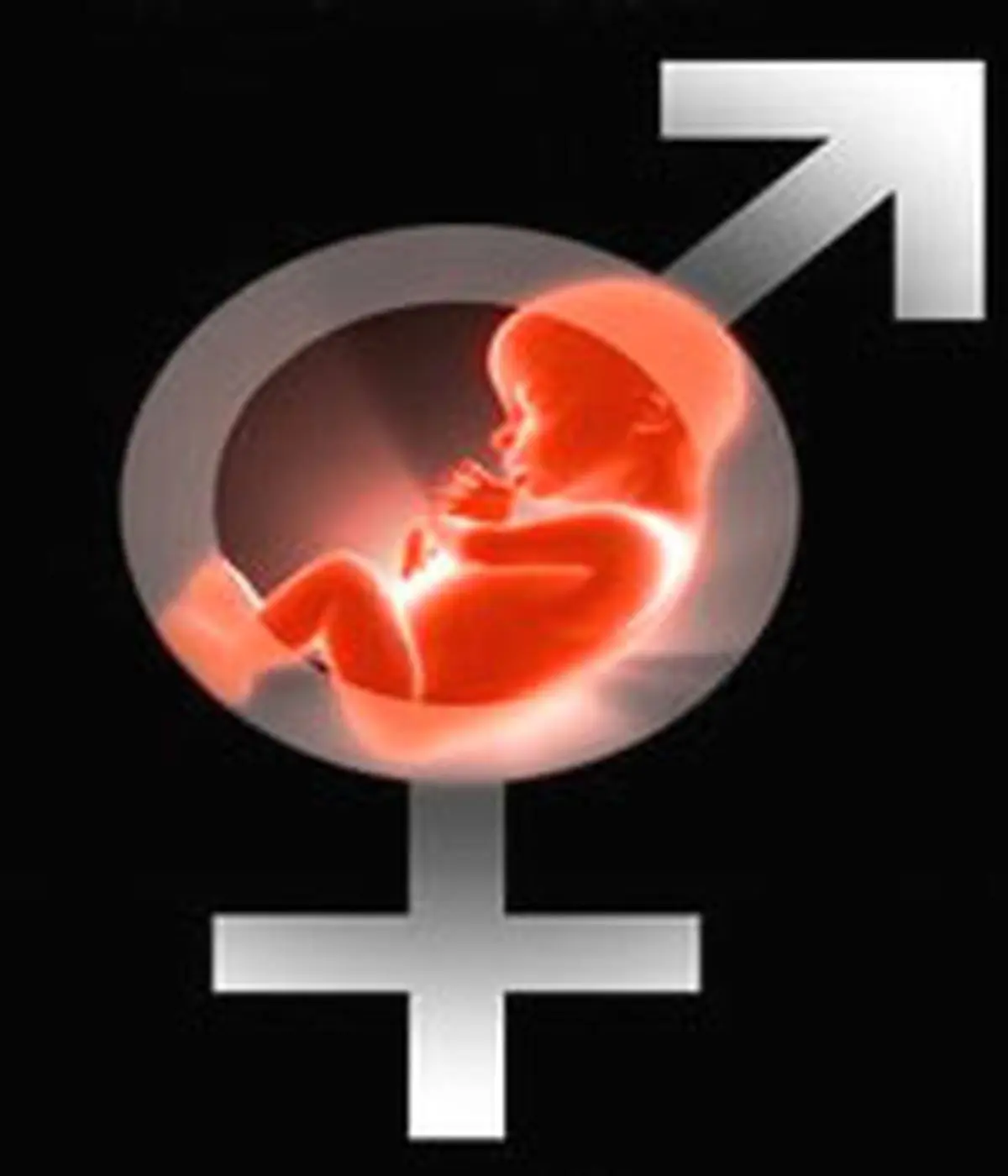 نخستین بچه متولد "IVF" در حال حاضر باردار است