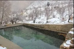 مدیر جهاد کشاورزی استهبان: بارش برف بزرگترین انجیرستان دیم جهان را از خشکی نجات داد