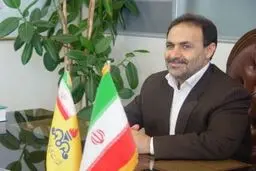 مدیرعامل شرکت گاز فارس: ۳۳ روستا و دو شهر طی دهه فجر در استان گازرسانی می‌شود