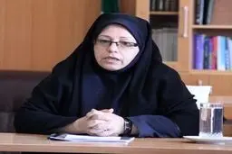 مدیرکل گمرکات فارس: عمده کالاهای قاچاق در سال گذشته پوشاک، برنج، کفش و موبایل بوده است