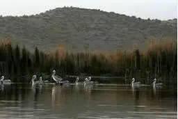 عضو هیأت‌رئیسه شورای عالی استان‌ها: مسئولان در رابطه با بحران دریاچه پریشان پاسخگو باشند