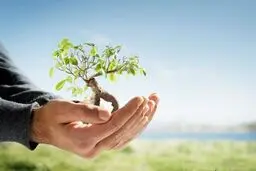 وقف برای محیط زیست؛ سنت فراموش شده
