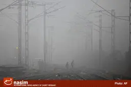 اداره هواشناسی آبادان: دید چشمی در آبادان به علت مه غلیظ به ۵۰ متر رسیده است