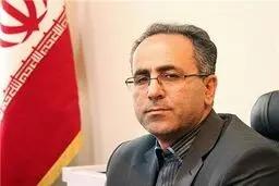 مدیرکل تعاون فارس: ۱۵۶ هزار نفر در فارس مشمول دریافت سبد امنیت غذایی هستند