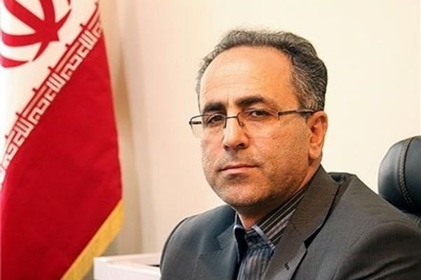 مدیرکل تعاون فارس: ۱۵۶ هزار نفر در فارس مشمول دریافت سبد امنیت غذایی هستند