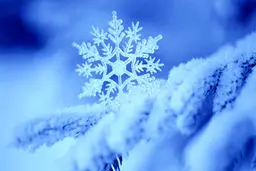 بیست و دومین همایش بلورشناسی و کانی‌شناسی ایران برای نخستین بار در شیراز برگزار شد