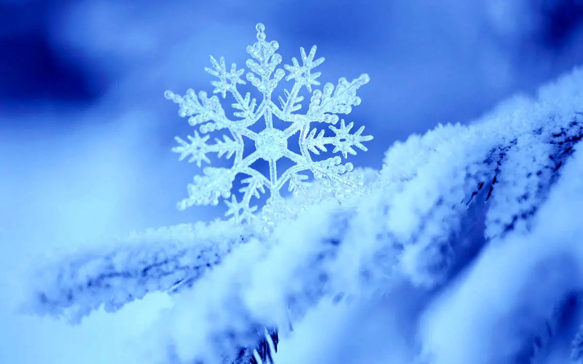 بیست و دومین همایش بلورشناسی و کانی‌شناسی ایران برای نخستین بار در شیراز برگزار شد