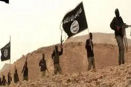 سناتورآمریکایی: گروهک تروریستی 'داعش' خطری برای امنیت اسرائیل نیست