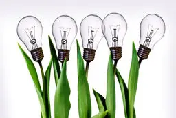 اهداف تجلیل از رهبران کارآفرین و کارآفرینان خیر تشریح شد