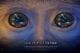 گرافیک:: مجموعه پوسترهای 'چند پله تا قاف'