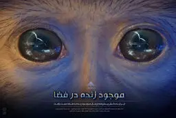 گرافیک:: مجموعه پوسترهای 'چند پله تا قاف'