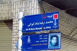 عضو شورای شهر دزفول: نامگذاری‌ها باید به گونه‌ای باشد که مردم را سردرگم نکند