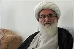 آیت‌الله نوری همدانی: به همراهی خود با امام و رهبری افتخار می‌کنم