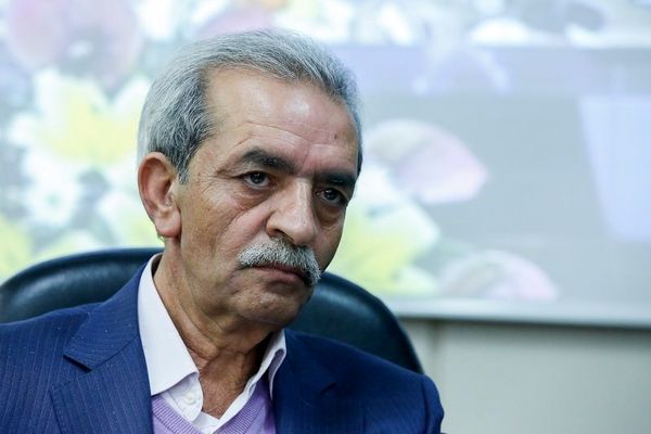 شافعی: مبادله کالایی میان ایران و ترکیه راهگشا نیست