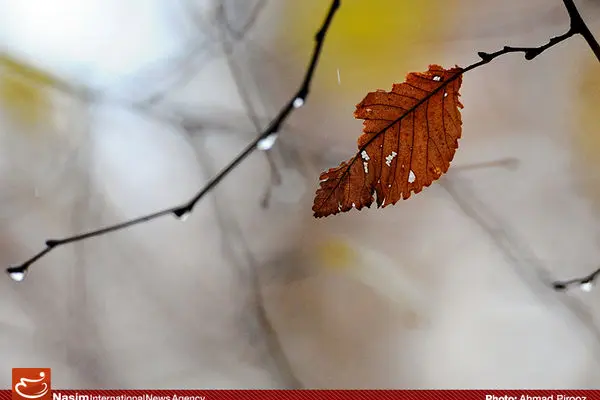 امروز و فردا دمای هوا در سواحل دریای خزر بین ۷ تا ۱۲ درجه کاهش می‌یابد