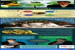 گرافیک اطلاع‌رسان:: 