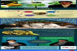 گرافیک اطلاع‌رسان:: 