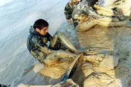 نامه سری فرمانده نیروی دریایی ارتش در خصوص طرح 