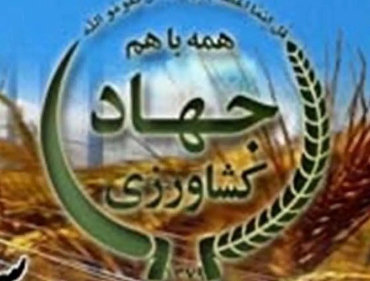 رئیس جهادکشاورزی خراسان رضوی: سهم اعتبار بخش کشاورزی هیچ‌گاه بیش از ۵ درصد نبوده است