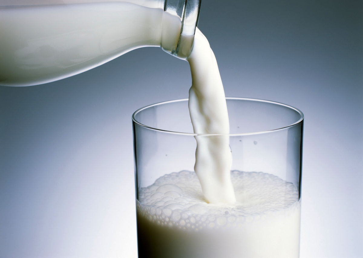 مدیر یک دامپروری: جلوی واردات کره و شیر خشک بی کیفیت از کشورهای صنعتی گرفته شود