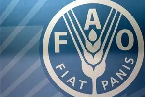 فائو: هزینه مواد غذایی در سبد مصرف مردم جهان بازهم کاهش یافت