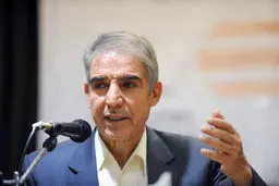 گلزاری: ۲۰ درصد ازدواج‌ها در کمتر از پنج سال به طلاق می‌رسند