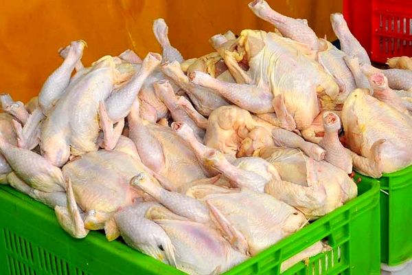 شرکت سهامی پشتیبانی امور دام کشور از عرضه مرغ منجمد به قیمت ۵۵۰۰ تومان خبر داد
