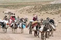 مدیرکل امور عشایر فارس: ۲۱ پروژه عشایری در دهه فجر بهره‌برداری می‌‌شود