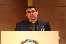 کارخانه تولید انواع رب‌ گوجه و ترشی در شهرستان کازرون به بهره‌برداری رسید