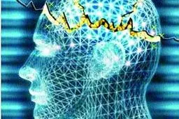 مدیرعامل انجمن صرع: پیشگیری از صرع در جامعه وظیفه دولت‌هاست