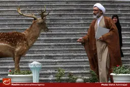 وزیر دادگستری عضو شورای عالی حفاظت محیط زیست شد