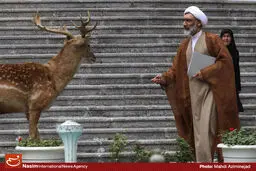 وزیر دادگستری عضو شورای عالی حفاظت محیط زیست شد