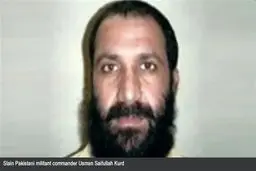 مقامات پاکستان از کشته شدن یک سرکرده ارشد القاعده در این کشور خبر دادند