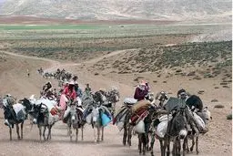 مدیرکل امنیتی استانداری فارس: این استان با ۱۵۰ هزار خانوار عشایری، قطب عشایری کشور است