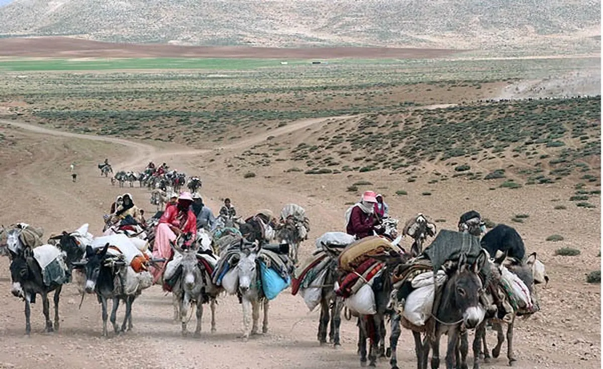 مدیرکل امنیتی استانداری فارس: این استان با ۱۵۰ هزار خانوار عشایری، قطب عشایری کشور است