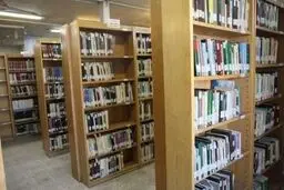مشاور دبیرکل نهاد کتابخانه‌ها: کتابخانه‌های عمومی باید به عنوان دانشگاه‌های مردمی توسعه یابند