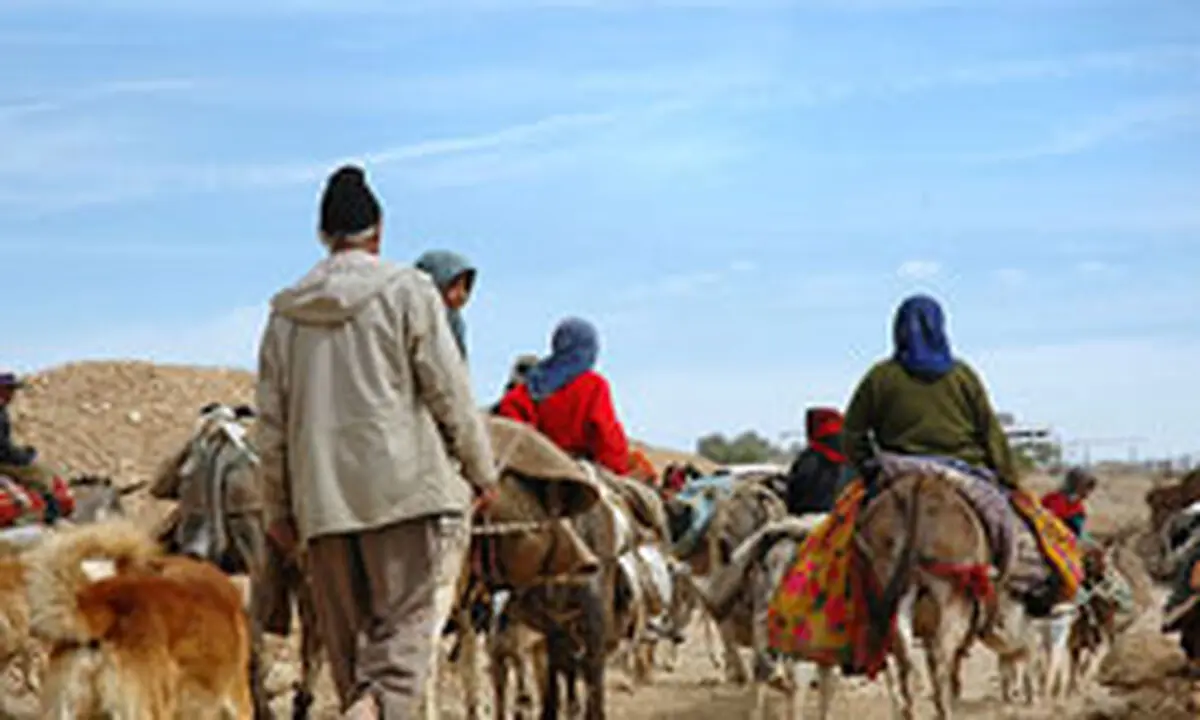 مدیرکل امور عشایر فارس: ایجاد مسیر کوچ عشایر در محدوده  کلان‌شهر شیراز لحاظ  نشده است