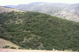 قائم‌مقام معاون قضایی منابع طبیعی کشور: عرصه‌های منابع طبیعی شناسنامه‌دار شوند