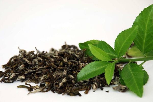 رئیس سازمان چای: تبلیغ چای صد درصد خارجی ممنوع است
