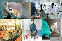 مدیر تعاون اداره کار فارس: اداره تعاون استان از شرکت‌های تعاونی دانش‌بنیان حمایت می‌کند