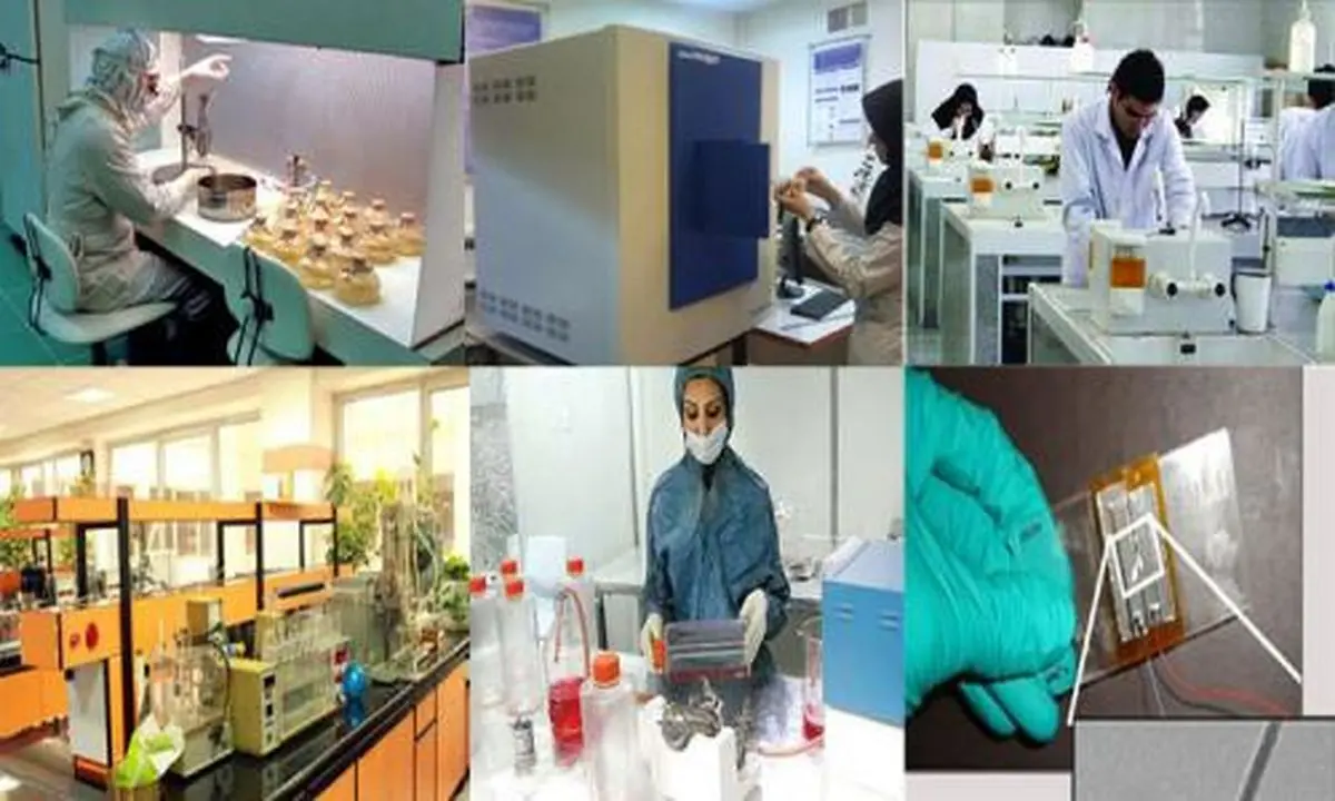 مدیر تعاون اداره کار فارس: اداره تعاون استان از شرکت‌های تعاونی دانش‌بنیان حمایت می‌کند