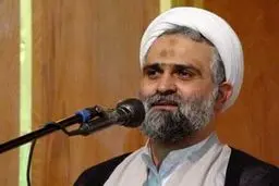 حجت‌الاسلام محمدیان: برخی برای خوشایندی دشمنان مواضع ضدانقلابی می‌گیرند