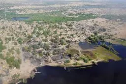 گروه 