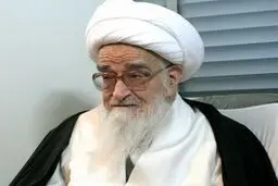 آیت‌الله صافی گلپایگانی: معرفی معارف اهل بیت(ع)وظیفه اصلی صدا وسیما است