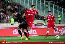 مزایده سرخابی‌ها روز ۱۹ اسفند برگزار می‌شود