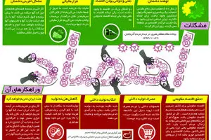 گرافیک اطلاع‌رسان:: مشکلات اقتصادی و راهکارهای آن
