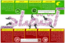 گرافیک اطلاع‌رسان:: مشکلات اقتصادی و راهکارهای آن