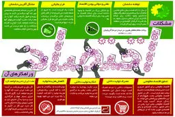 گرافیک اطلاع‌رسان:: مشکلات اقتصادی و راهکارهای آن